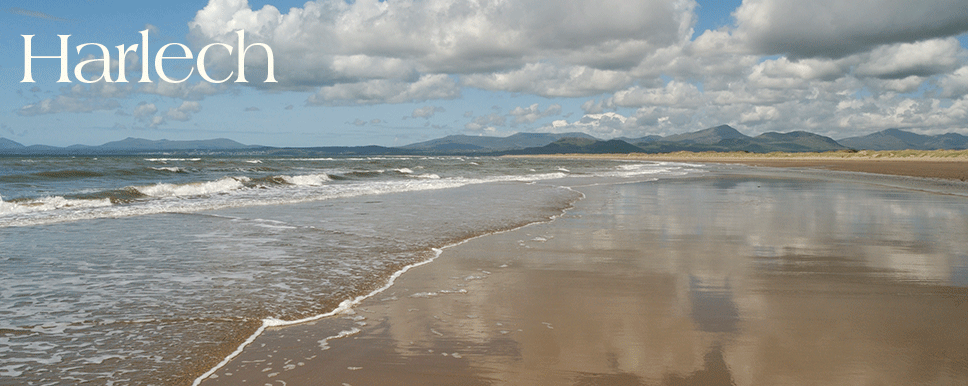 Harlech Information